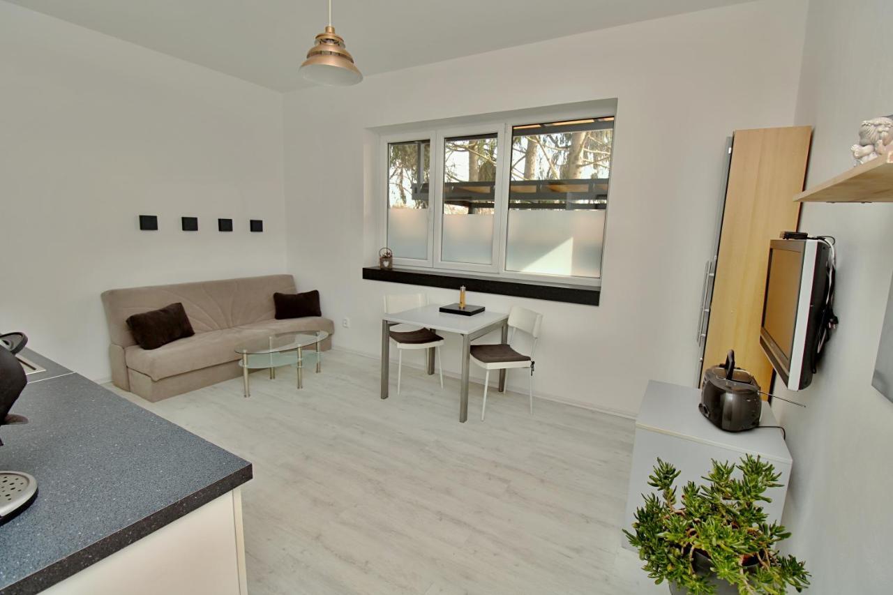 Apartment Near The Pond Prag
